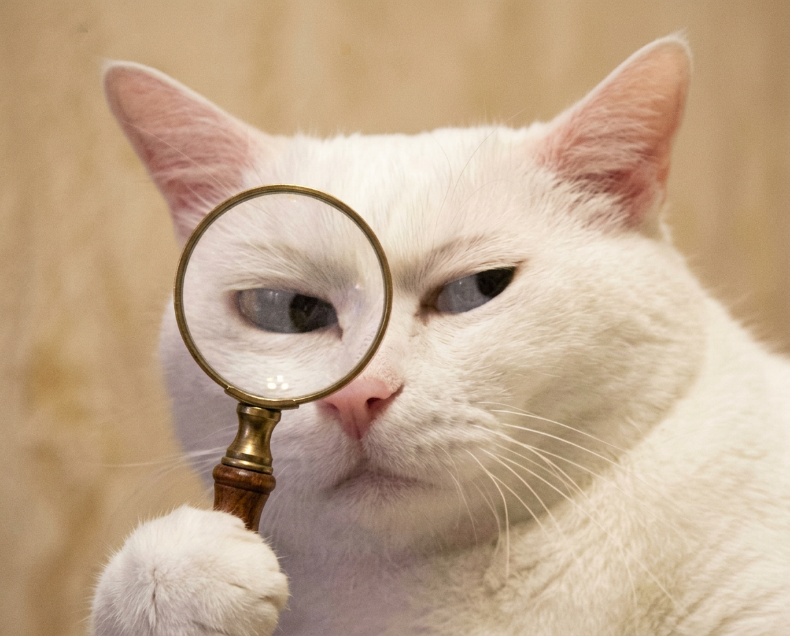 he's inspecting you back.